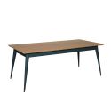 Table 55 Plateau Chêne, Vert olive, Tolix, 190 X 80 X H74 cm