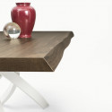 Table Sculptura en bois Noyer plaqué 200x106 cm
